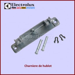 Charnière de porte Electrolux 8996454172603 CYB-152815