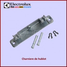 Charnière de porte Electrolux 8996454172603 CYB-152815