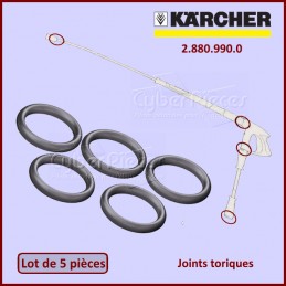 Lot de 5 joints Karcher 28809900 CYB-129800