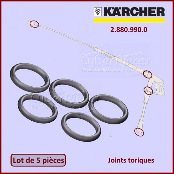 Lot de 5 joints Karcher 28809900 CYB-129800