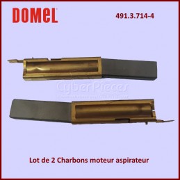Lot de 2 Charbons Domel 491.3.714-4 CYB-141802