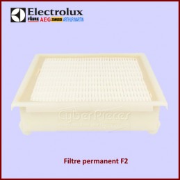 Filtre permanent F2 Electrolux 1130929019 CYB-142496