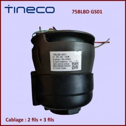 Moteur aspirateur TINECO 75BLDB-GS01 CYB-325417
