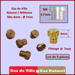 Injecteurs standard H4mm gaz naturel Ø7mm CYB-135382