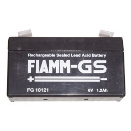 Batterie FG10121 CYB-024280