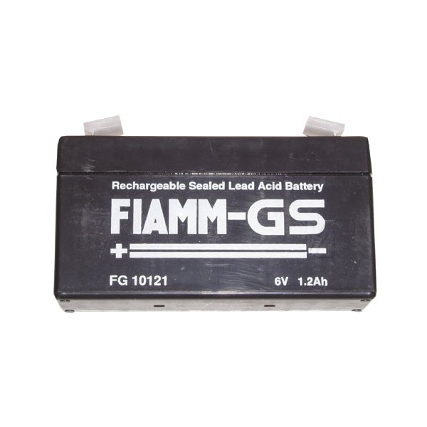 Batterie FG10121 CYB-024280