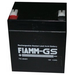 Fiam Fg20451 Batterie Rechargeble CYB-025676