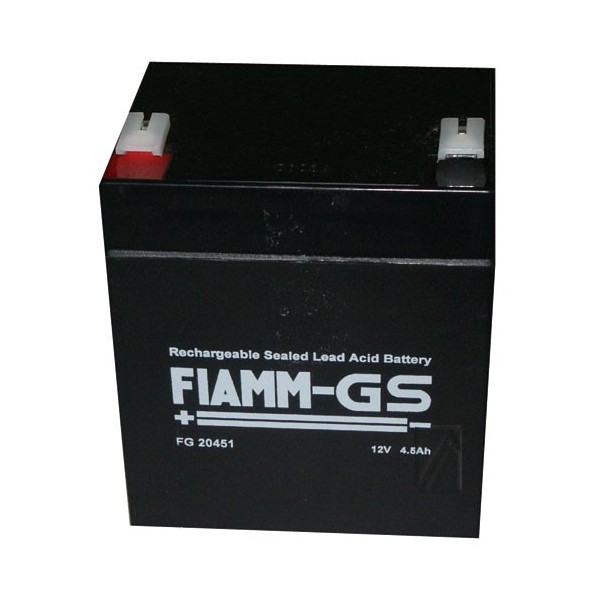 Fiam Fg20451 Batterie Rechargeble CYB-025676