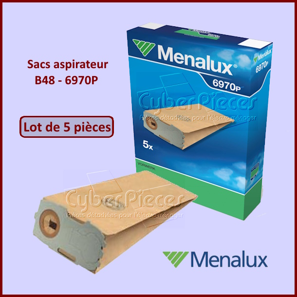 Lot de 5 sacs aspirateur B48 - 6970P Electrolux 9001961631