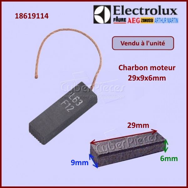 Charbon moteur pour aspirateur 29x9x6mm