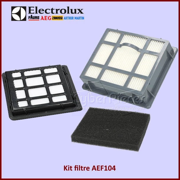 Lot de filtres Hepa + moteur AEF104  Electrolux 9001667394