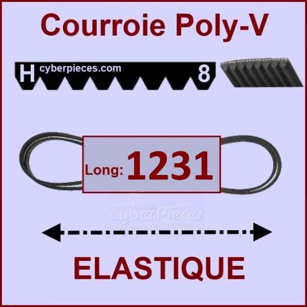 Courroie 1231H8 - EL- élastique