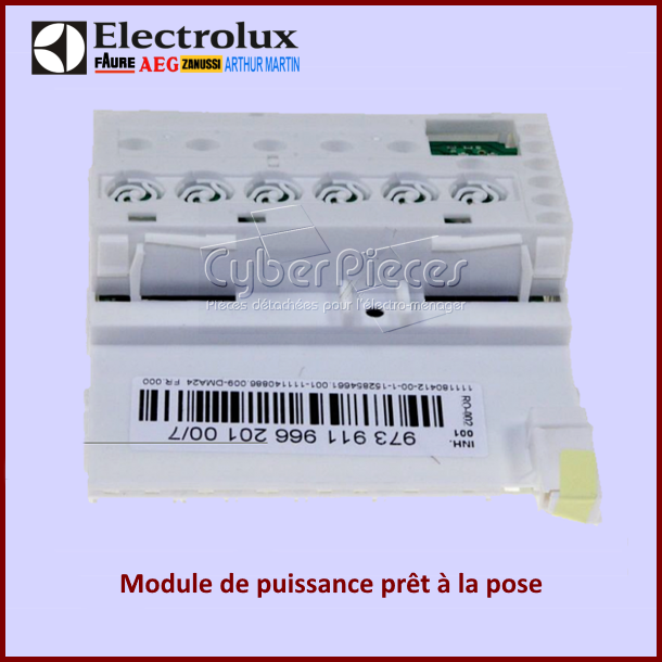 Module électronique configuré 973911966201007