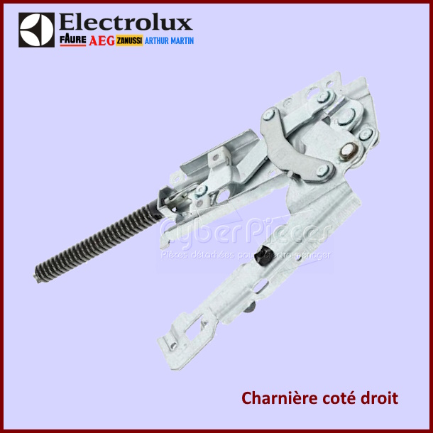 Charnière de porte Electrolux 1172326413