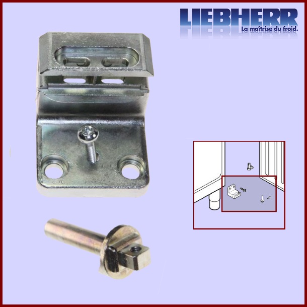 Charnière et Axe LIEBHERR 9450457 - Pièces réfrigérateur & congélateur