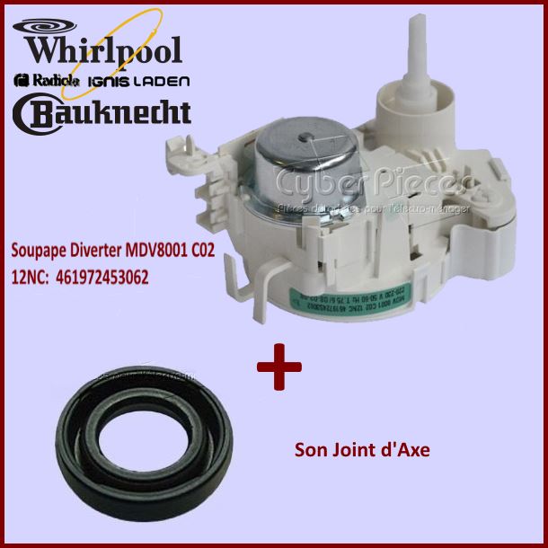 Kit Moteur MDV8001 C02 + son Joint d'Axe - Pièces lave-vaisselle
