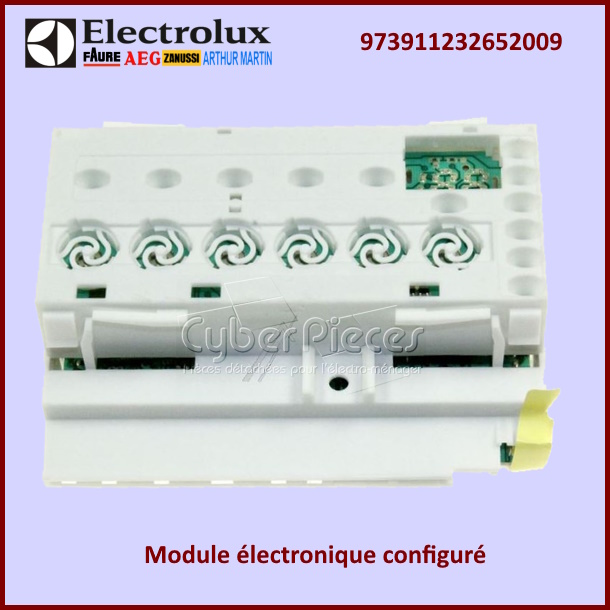 Carte Ã©lectronique Electrolux 973911232652009