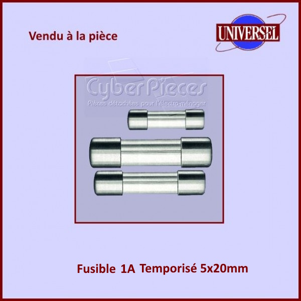 Fusible 1.0A Temporisé 5x20mm en verre