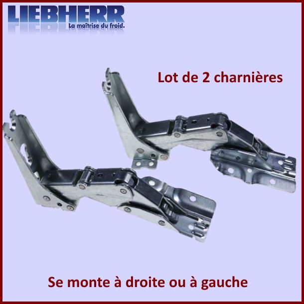 Charnière inferieure droite ou supérieure gauche Liebherr 7040094
