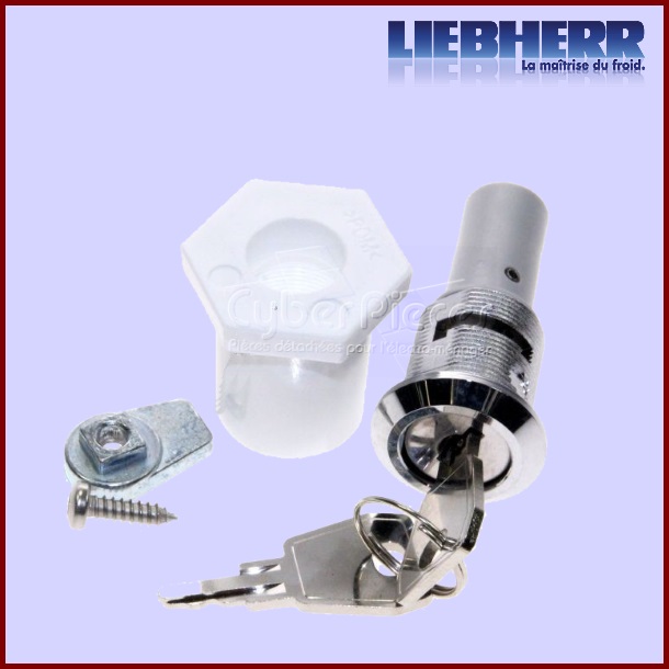Serrure Complète LIEBHERR 704357300 - Pièces réfrigérateur & congél...