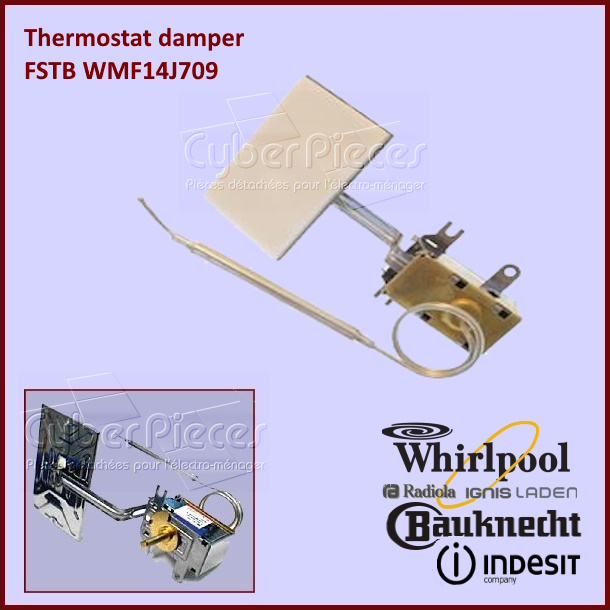 Thermostat damper FSTB WMF14J709 C00095873 - Pièces réfrigérateur &...