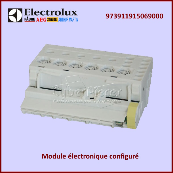 Module configuré Electrolux 973911915069000