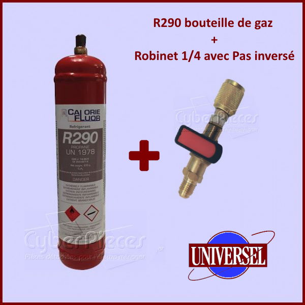 R290 bouteille de gaz de 900ML - 370G avec robinet - Pièces réfrigé...