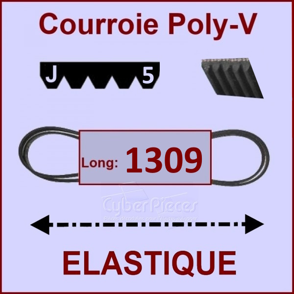 Courroie 1309J5 - EL- élastique