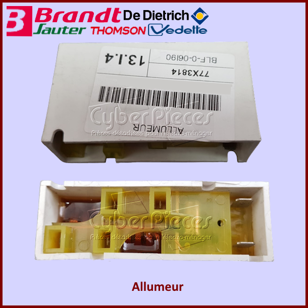 Allumeur Brandt 77X3814