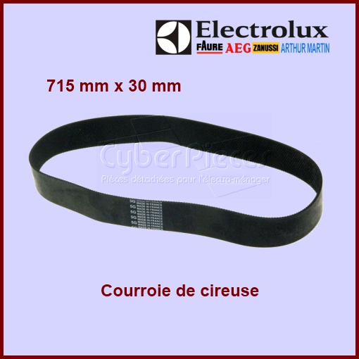 Courroie large de Cireuse 102335007 - Pièces aspirateur