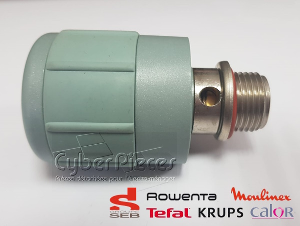 Bouchon gris de Chaudière CALOR CS-00094455
