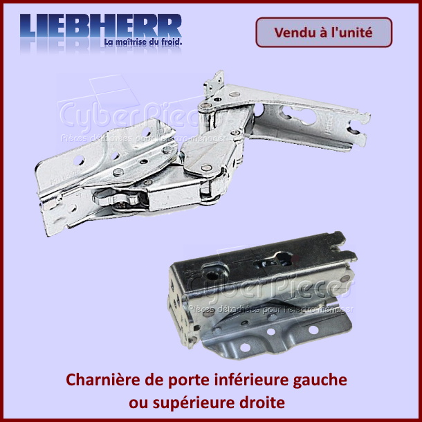Charnière inferieure gauche ou supérieure droite Lieberr