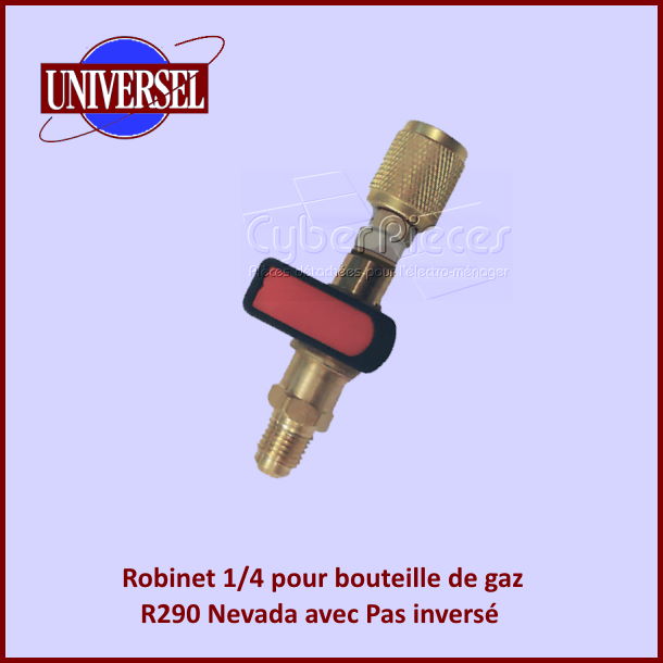 Robinet 1/4 pour bouteille de gaz R290 Nevada avec Pas inversé - Pi...