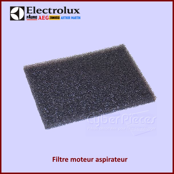 Filtre moteur aspirateur Vampyr Electrolux 9000844887
