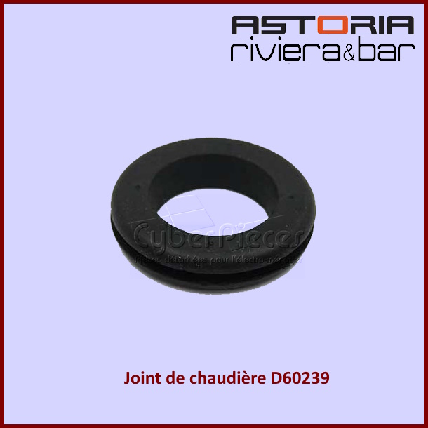 Joint de chaudière Astoria 500583349