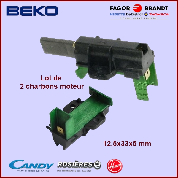 Charbon moteur avec support 33x12,5x5mm