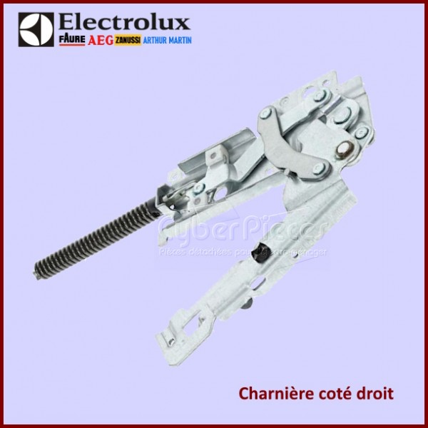 Charnière Electrolux 1172326413