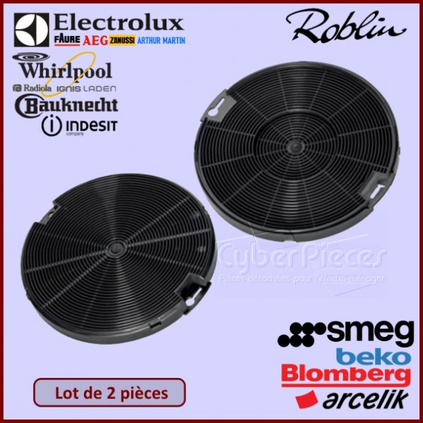 Lot de 2 filtres à charbon Roblin 5403010 - 5403012